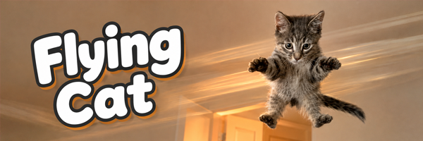 Flying Cat banner